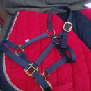 Licol équipehorse bleu marine (cob) neuf occasion