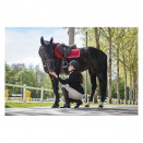 Tapis de selle Equithème Diamond rouge (cheval) neuf occasion