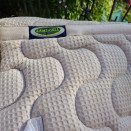 Tapis de selle Lami-Cell blanc liseré doré (cheval) occasion