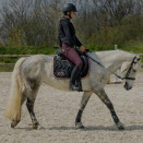 Tapis de selle Jump'in noir et bordeaux (cheval) occasion