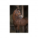 Rênes caoutchouc Norton pro noir (poney) neuf occasion