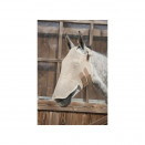 Masque anti-mouches Lami-Cell beige sans oreille (pur-sang) neuf occasion