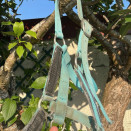 Licol Fouganza turquoise (cheval) occasion