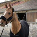 Licol Fouganza moumoute + longe noir et or (cheval) occasion