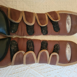 Guêtres Lami -Cell (cheval) occasion