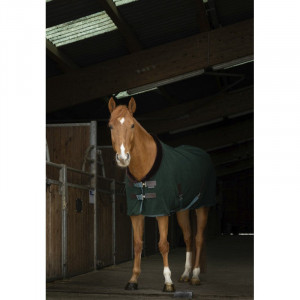 Chemise polaire Equithème Teddy vert 145 cm (neuf) occasion