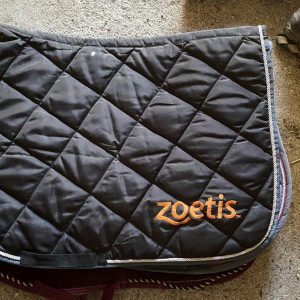 Tapis Zoetis bleu occasion