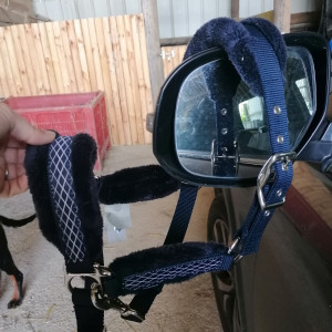 Licol bleu (poney) occasion