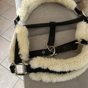 Licol Kentuky (cheval) occasion