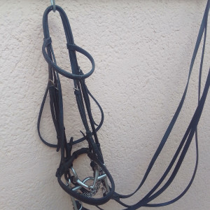 bride ibride complète cuir (cheval) occasion