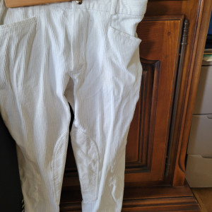 Pantalon équitation Pikeur blanc homme (42) occasion