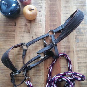 Licol Fouganza & longe norton (cheval) occasion