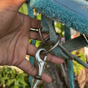 Licol turquoise (double poney) occasion