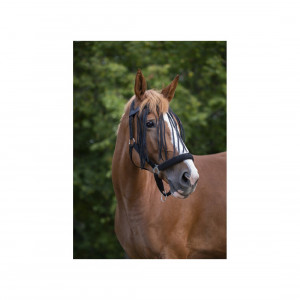 Frontal chasse-mouches Norton noir (cheval) neuf occasion