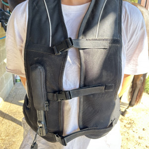 Gilet airbag cavalier Equitheme (M) occasion