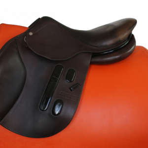 Selle GBS plate (2017) occasion