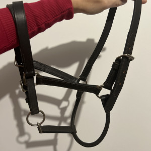 Licol cuir noir occasion
