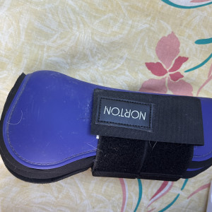 Guêtres Norton violet (cheval) occasion