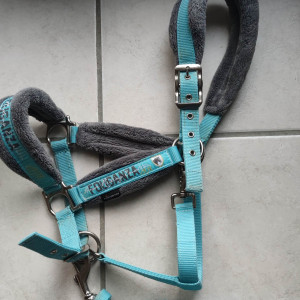 Licol et longe Fouganza turquoise (cheval) occasion