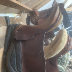 Selle Hubertus occasion