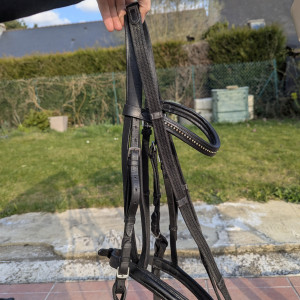 Filet cuir noir + rênes (cheval) occasion