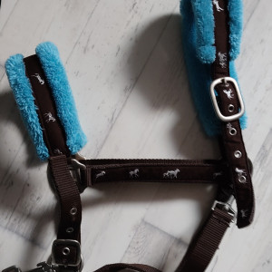 Licol & longe BR marron & bleu (cheval) occasion