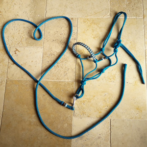 Licol éthologique & longe 3 m (pur sang) neuf occasion Licol éthologique & longe 3 m (pur sang) neuf occasion