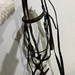 Filet / bridon cuir muserolle croisée (cheval) occasion