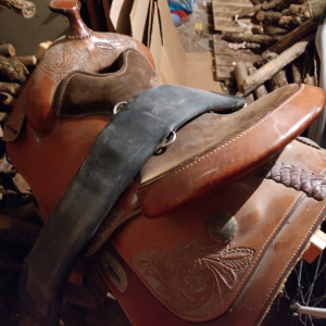 Selle Western Silver Supreme 18 pouces occasion