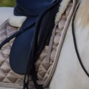 Selle dressage Stubben 17 pouces (2005) occasion