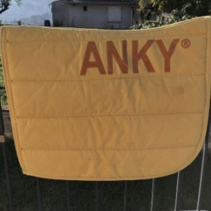 Tapis de selle Anky jaune occasion