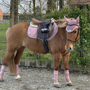 Ensemble Félix Bühler tapis, bonnet, bandes rose occasion