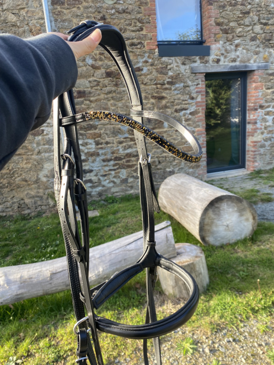 Bridons Félix Bühler sans mors 5 en 1 (cheval) occasion