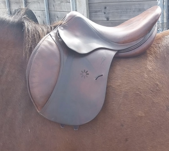 Selle loisir Antares 17,5 pouces (2012) occasion