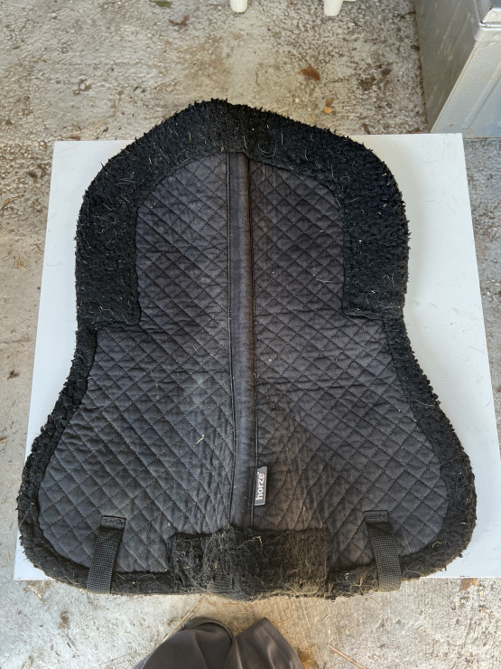 Amortisseur équitation Horze noir (poney) occasion