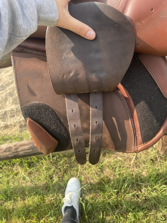 Selle mixte Éric Thomas 17,5 pouces occasion