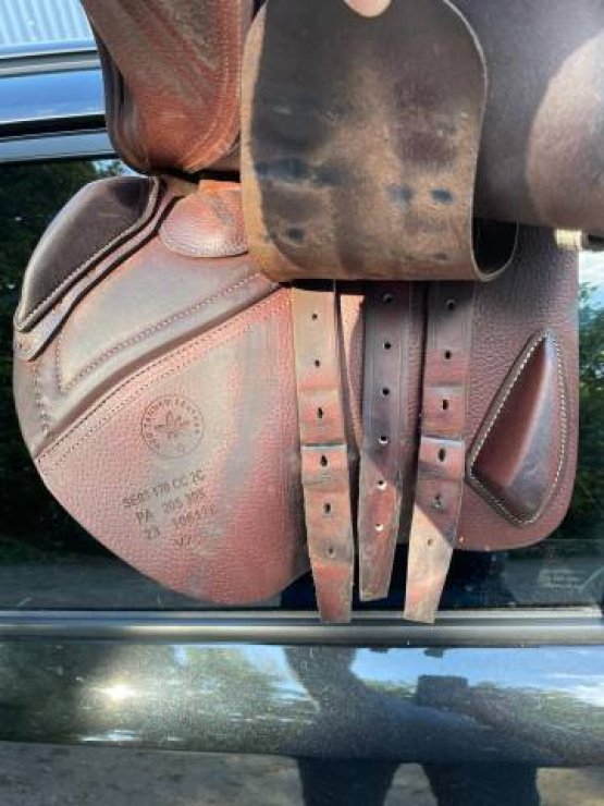 Selle obstacle CWD SE03 17 pouces (2023) occasion