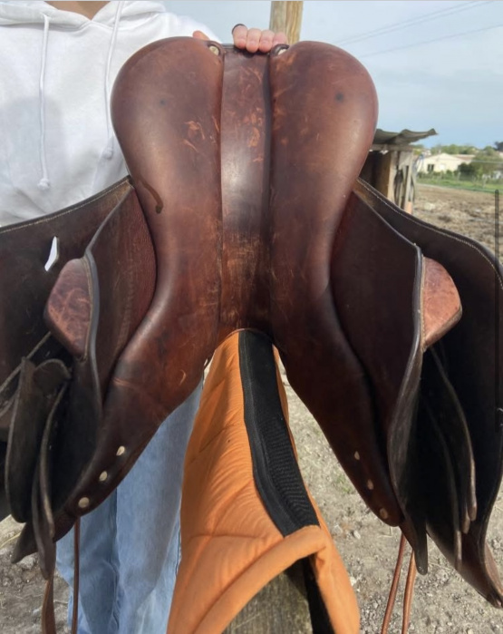 Selle loisir Antares 17,5 pouces (2012) occasion