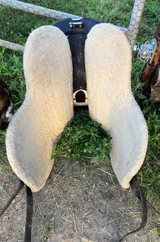 Selle randonnée Prestige Appaloosa Trekker 17,5 pouces occasion