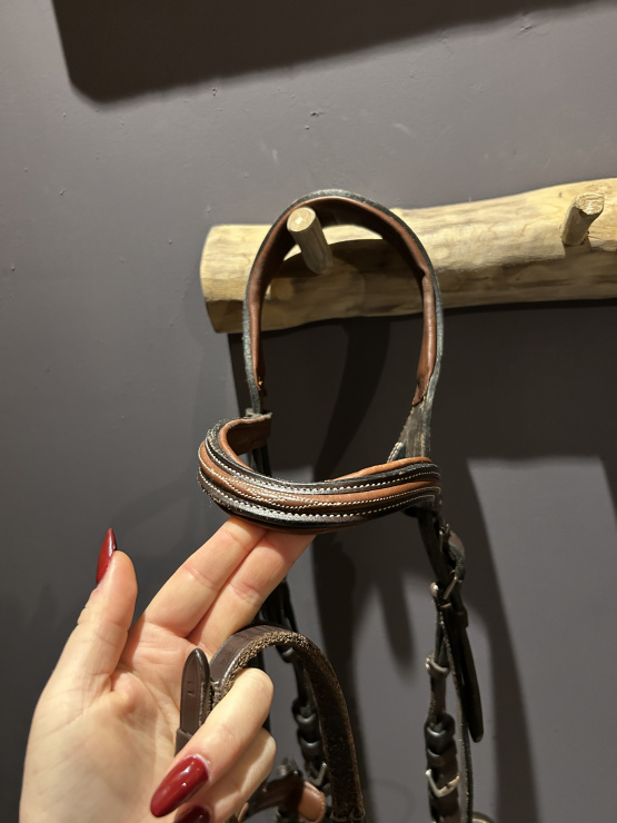 Filet Fouganza (poney) occasion