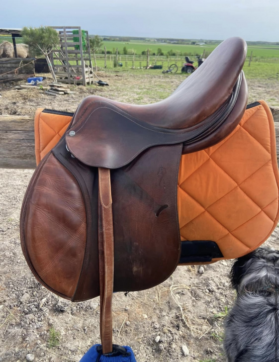 Selle loisir Antares 17,5 pouces (2012) occasion