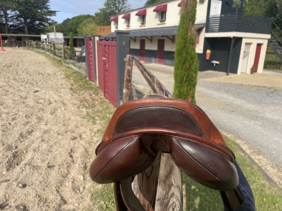Selle mixte Éric Thomas 17,5 pouces occasion