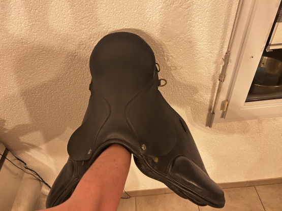 Selle loisir poney 15,5 pouces occasion