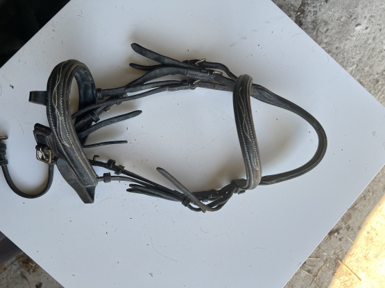 Filet cuir noir (poney) occasion