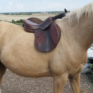 Selle loisir Antares 17,5 pouces (2012) occasion