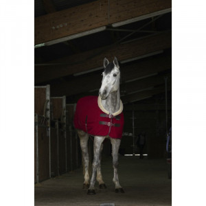 Chemise polaire Equithème teddy bordeaux 135 cm (neuf) occasion