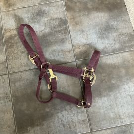 Licol Equithème bordeaux (poney)