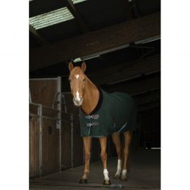 Chemise polaire Equithème Teddy vert 145 cm (neuf)