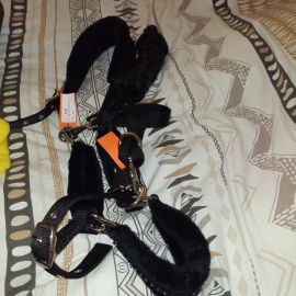 Licol noir (cheval) neuf