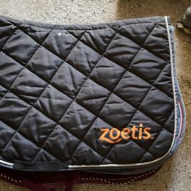 Tapis Zoetis bleu